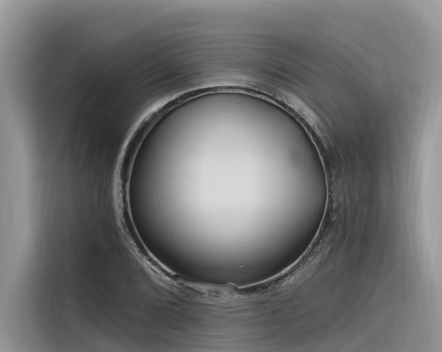 X0000116321072200912011108