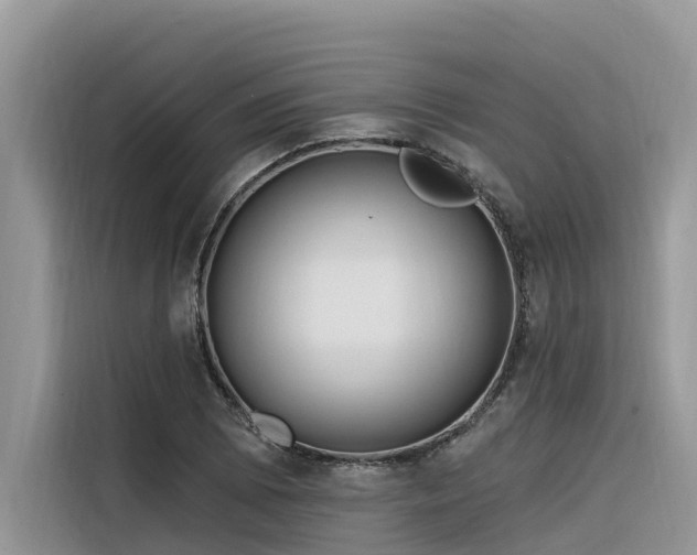 X0000116321073200912011108