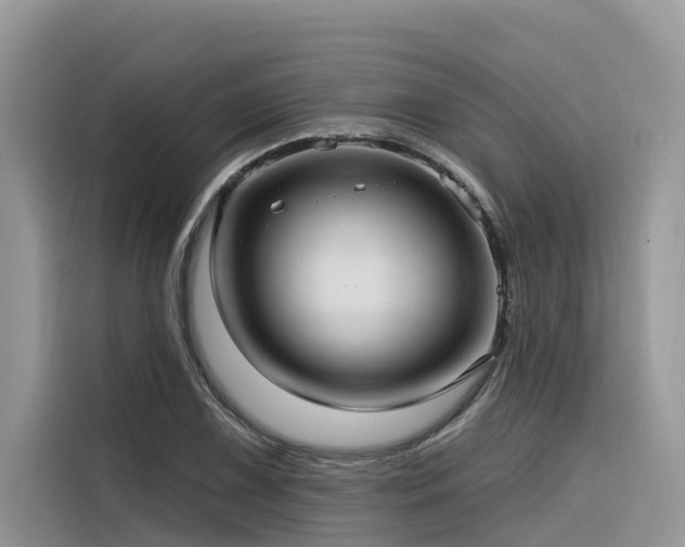 X0000116321075200912011108