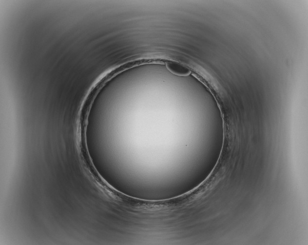X0000116321076200912011108