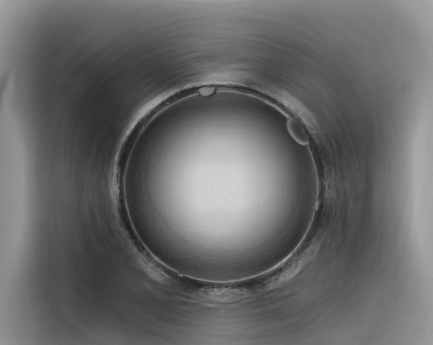X0000116321077200912011108