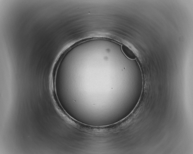 X0000116321080200912011108