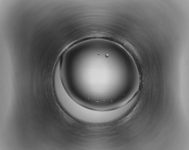 X0000116321081200912011108