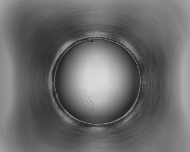 X0000116321082200912011108