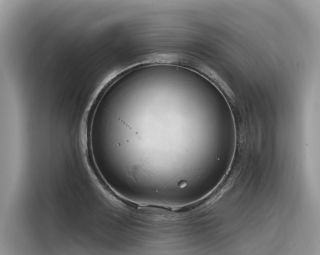 X0000116321083200912011108