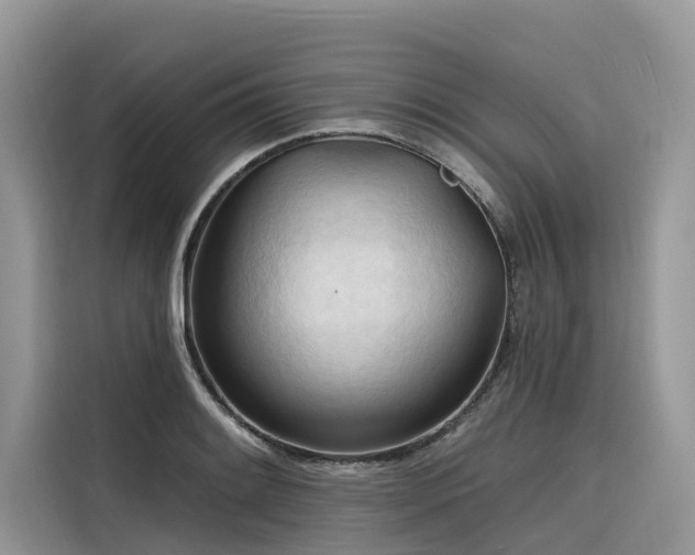 X0000116321084200912011108