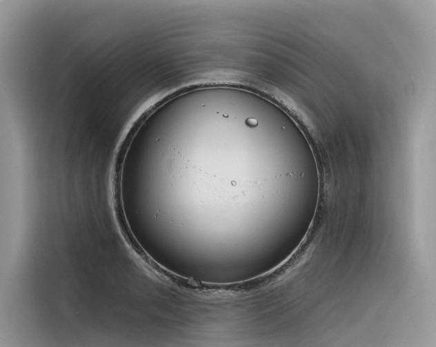 X0000116321085200912011108