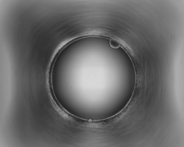 X0000116321086200912011108