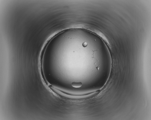X0000116321088200912011107