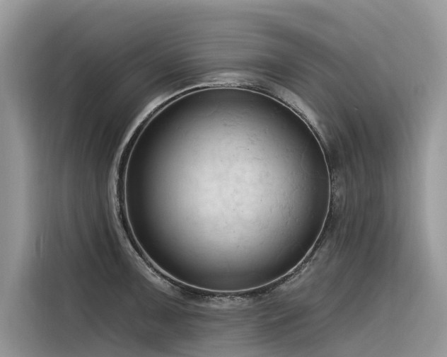 X0000116321091200912011107