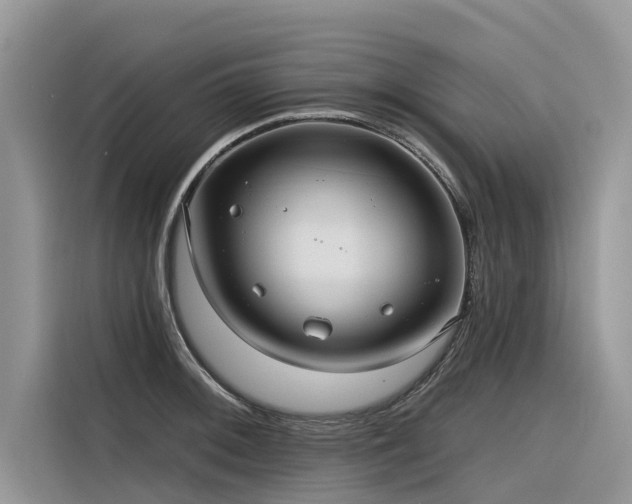 X0000116321092200912011107