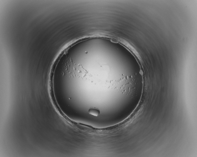 X0000116321093200912011107