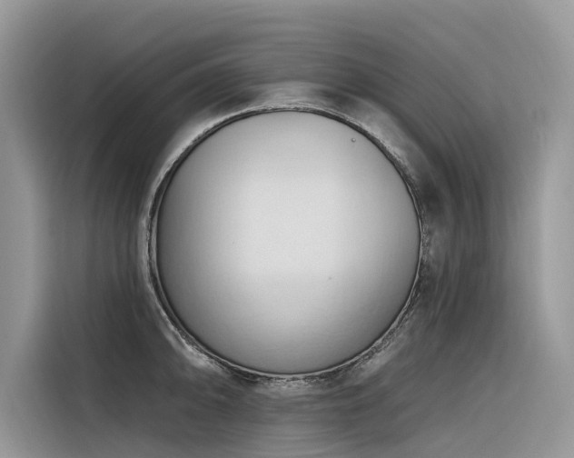 X0000116321094200912011107