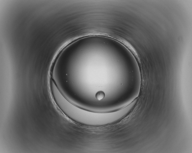 X0000116321096200912011107