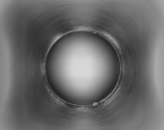 X0000116321097200912011107
