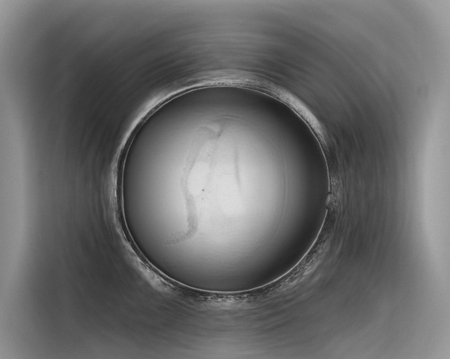 X0000116321099200912011107