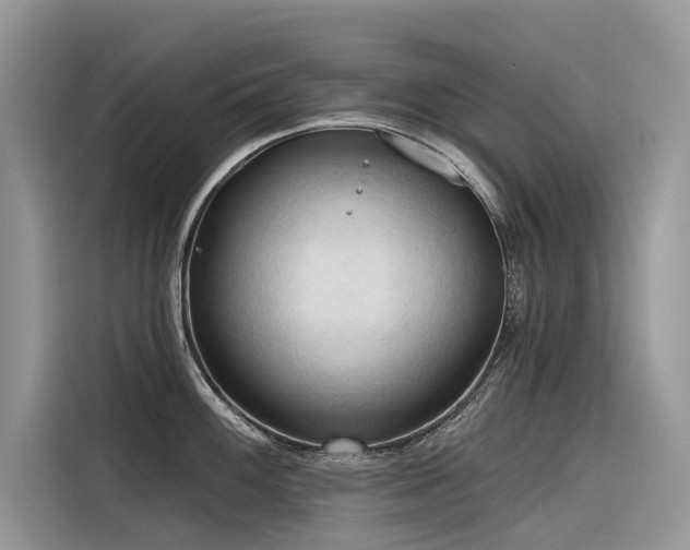 X0000116321100200912011107