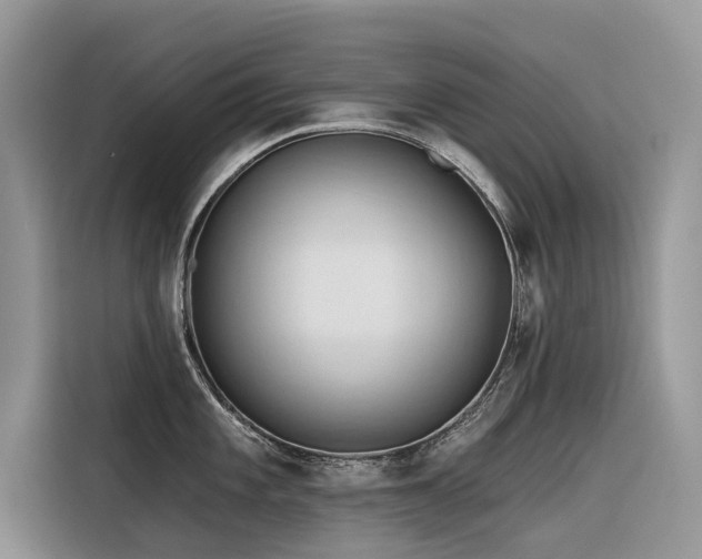 X0000116321101200912011107
