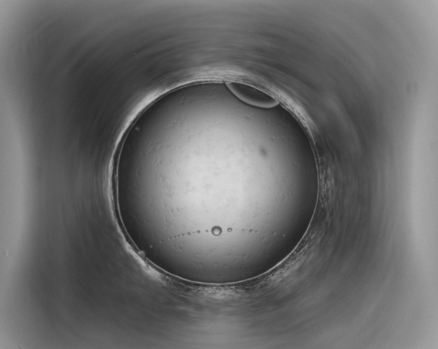 X0000116321103200912011107