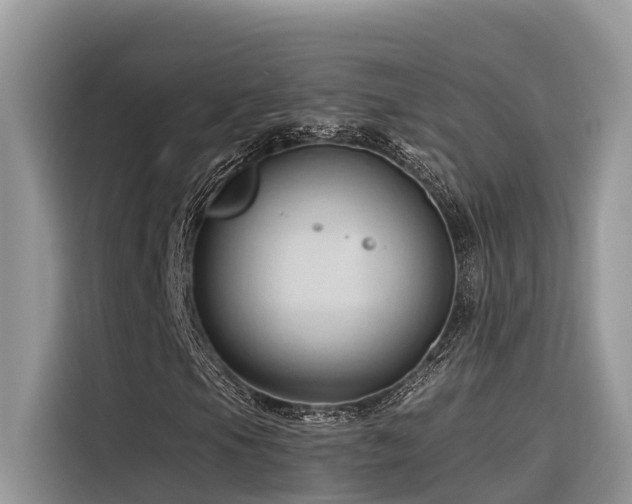 X0000116321105200912011107