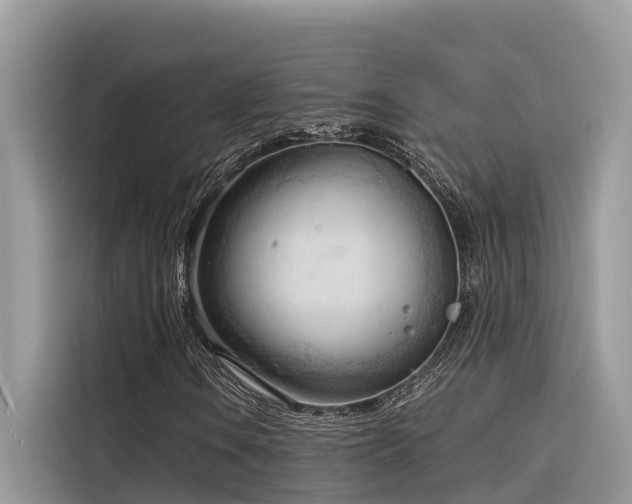 X0000116321106200912011107