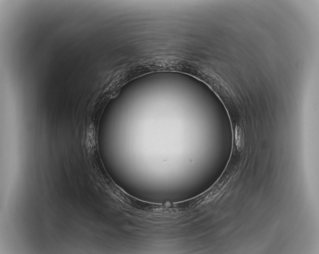 X0000116321107200912011107