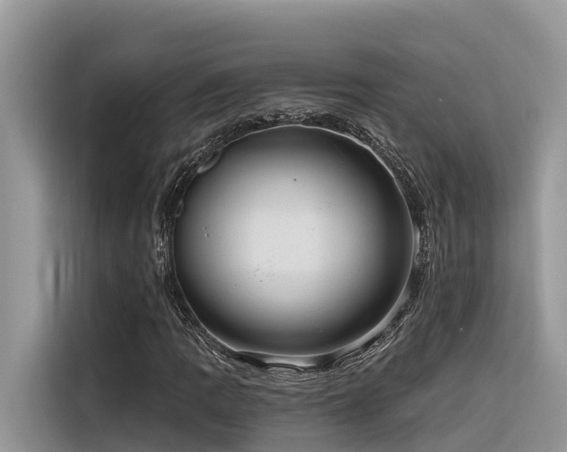 X0000116321109200912011107