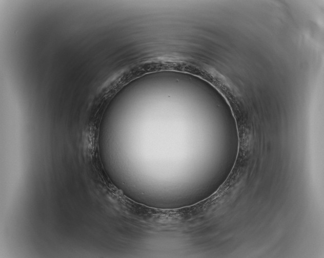 X0000116321110200912011107