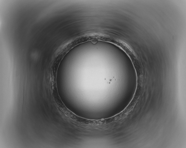 X0000116321111200912011107