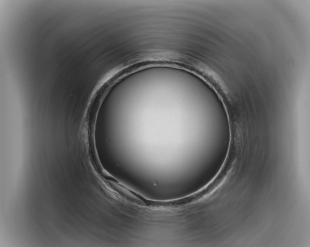 X0000116321114200912011107