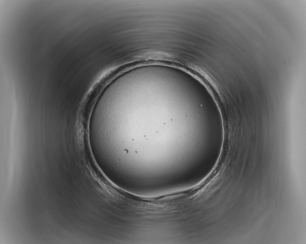 X0000116321115200912011107