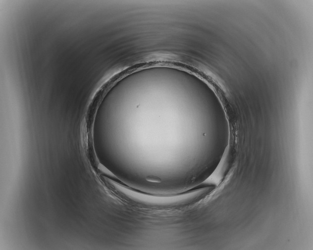 X0000116321117200912011107