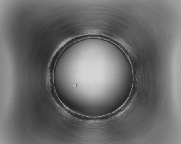 X0000116321118200912011107