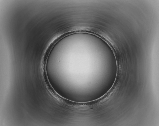 X0000116321119200912011107