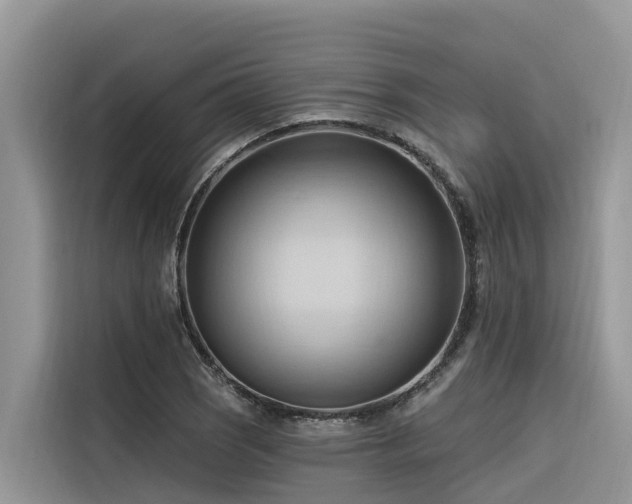 X0000116321121200912011107