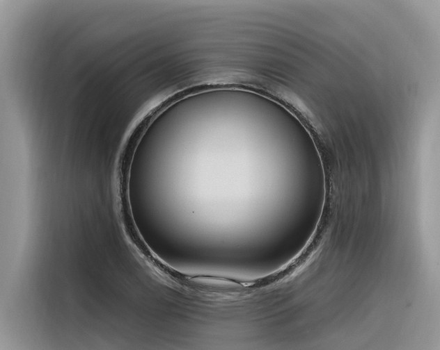 X0000116321122200912011107