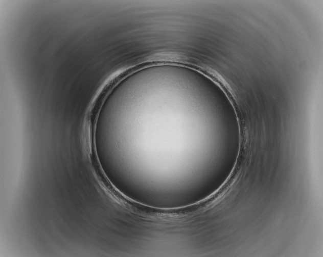 X0000116321123200912011107