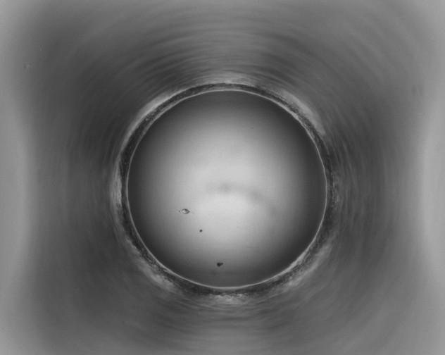 X0000116321125200912011107