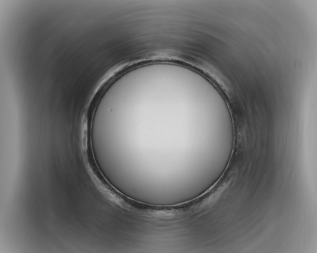 X0000116321126200912011107
