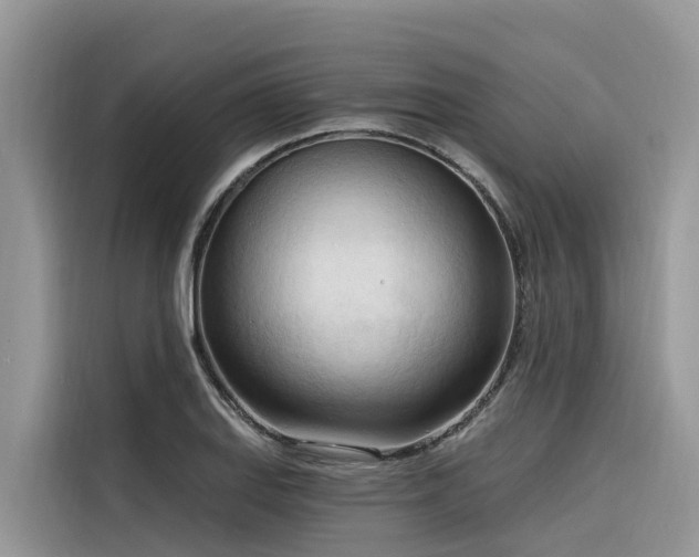 X0000116321127200912011107