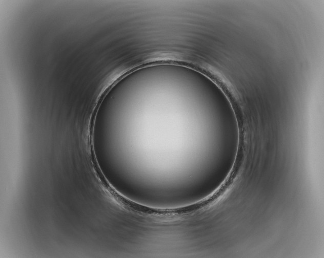 X0000116321129200912011107