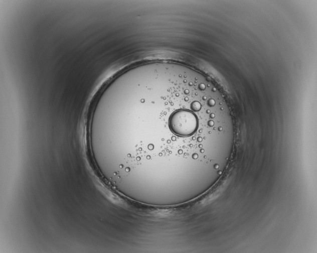 X0000116321130200912011107