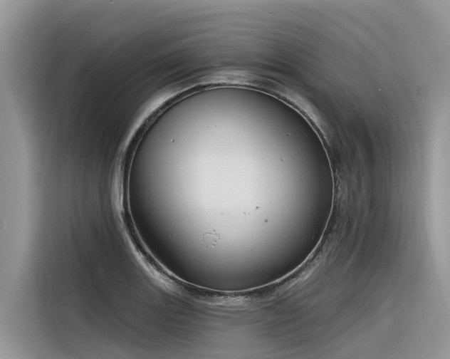X0000116321131200912011107