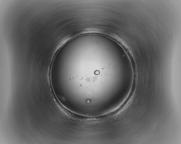 X0000116321137200912011107