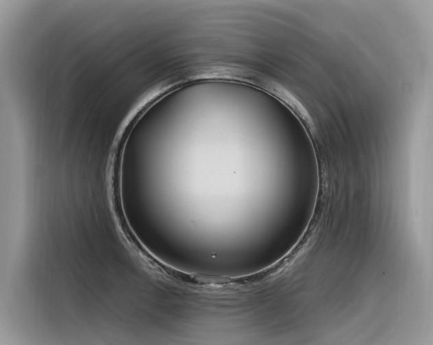 X0000116321138200912011107