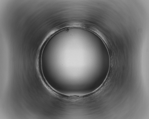 X0000116321139200912011107