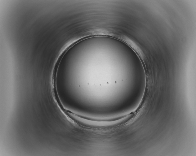 X0000116321141200912011107