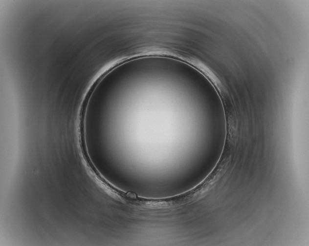 X0000116321142200912011107