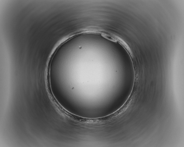 X0000116321146200912011107
