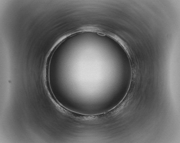 X0000116321147200912011107